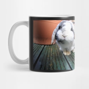 Bungee Nose Mug